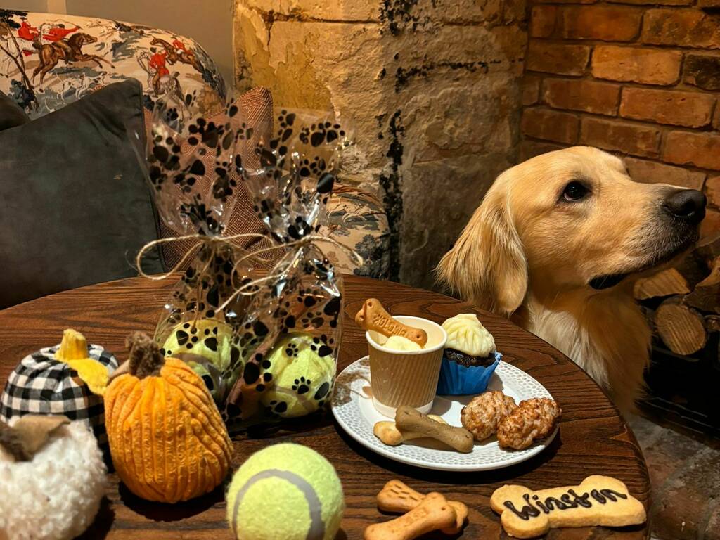 A golden retriever sitting by the table covered in tog treats, afternoon tea and autumnal decorations