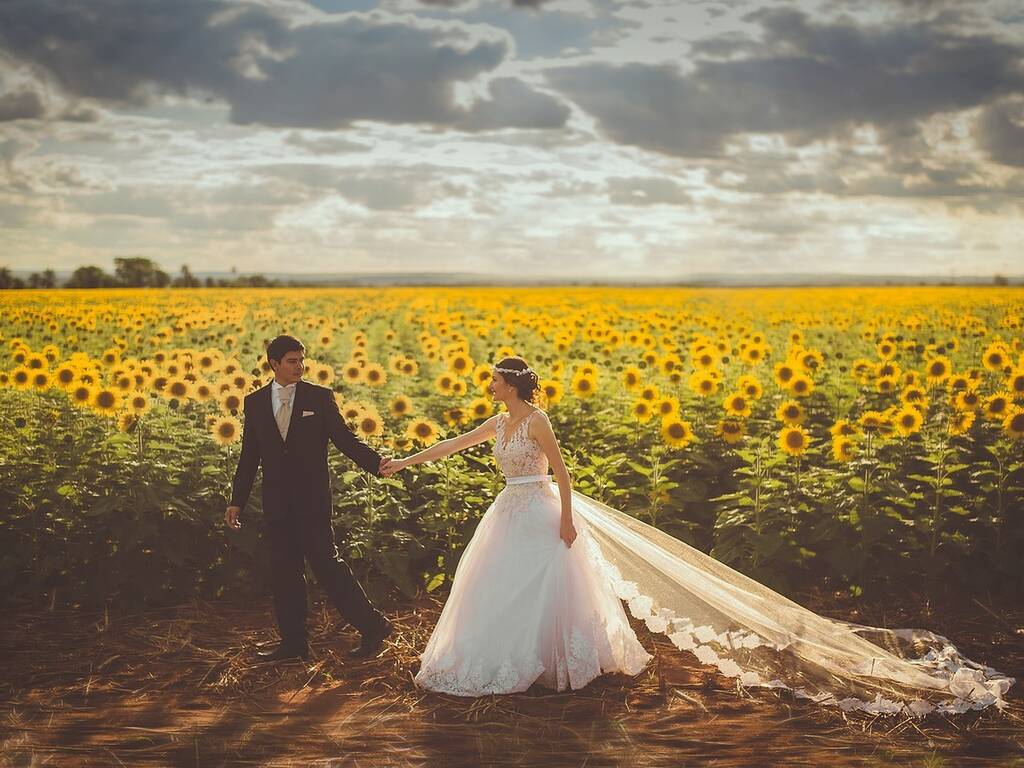 Sustainable wedding sunflowers