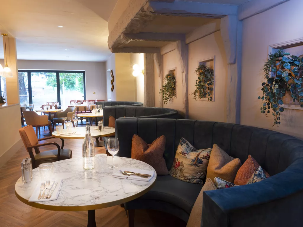 thyme at the manor