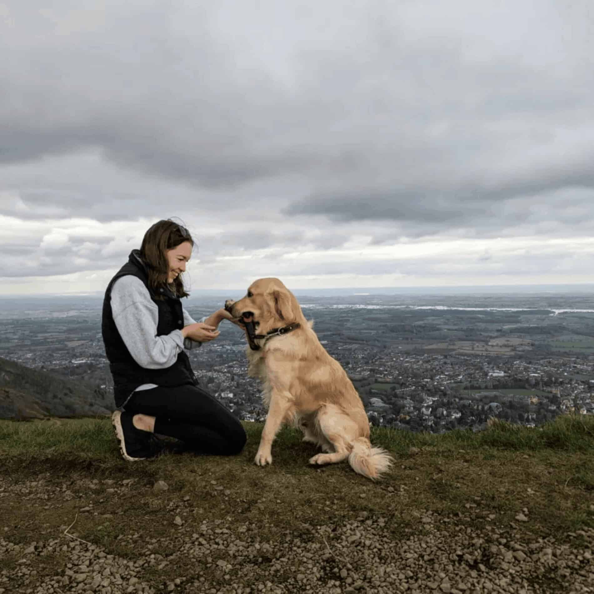 A picture of a woman and a golden retriever on top of Malvern Hills, Worcestershire