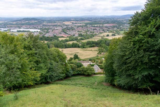 Cooper’s Hill - Gloucester Cheese Roll